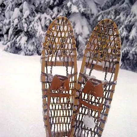 فندق Brunnenhof 3*