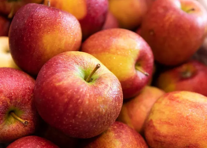 布鲁恩霍夫酒店 施图拜河谷新施蒂夫特