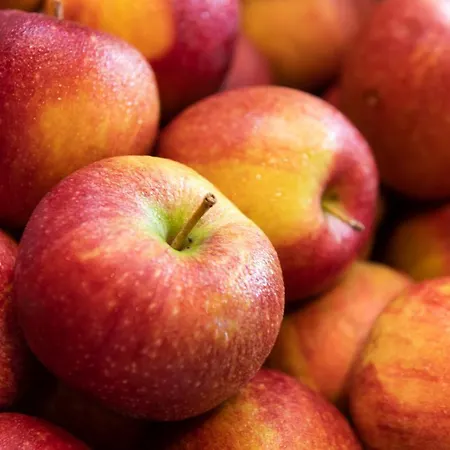 Brunnenhof Neustift im Stubaital